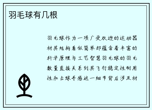 羽毛球有几根